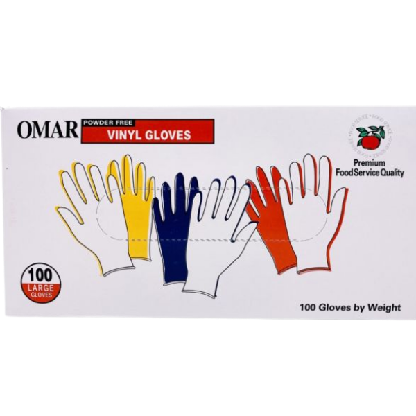 VINYL GLOVES (POWDER FREE) Large